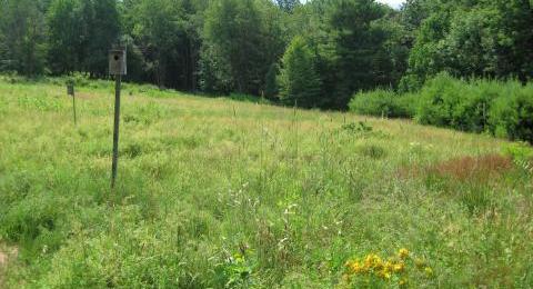 conserved land in Laconia, NH