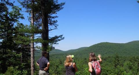 people looking at mountains