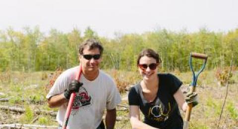 people planting shrubs for rabbits