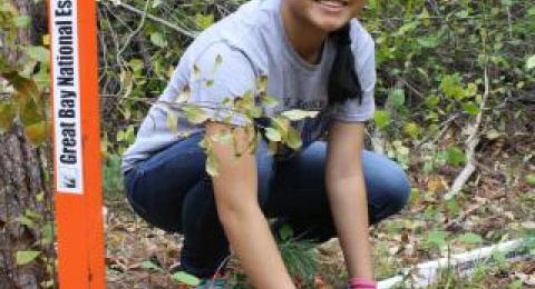 person pulling out invasive plants