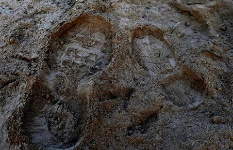 footprints in mud