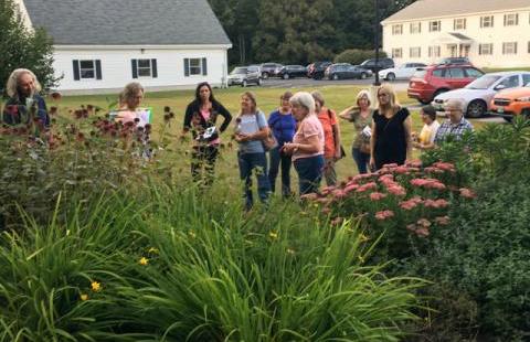 People meet outside for a Pollinator Pathways Conversations event