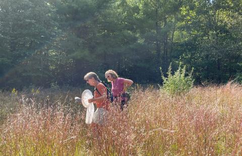 Women surveying for insects in field