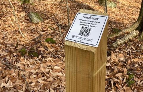 Nature Trail Signposts with questions and QR codes