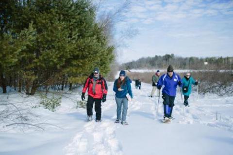 volunteers walking in snow