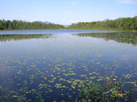 lake and sky