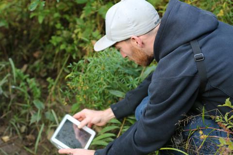 A man takes part in the BioBlitz in the woods.