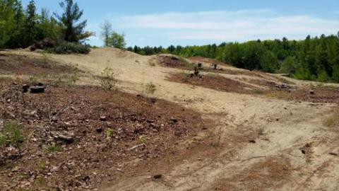 removed vegetation from sand and gravel pit site