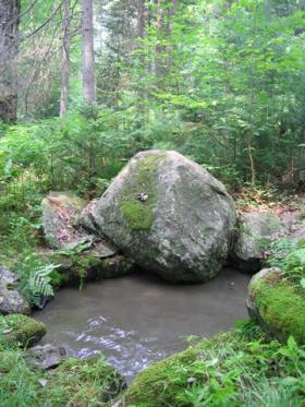 Rock and pond