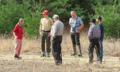 people standing near the woods