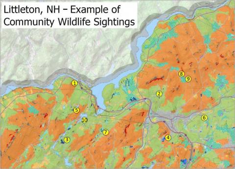 Littleton, NH map with example of community wildlife sightings