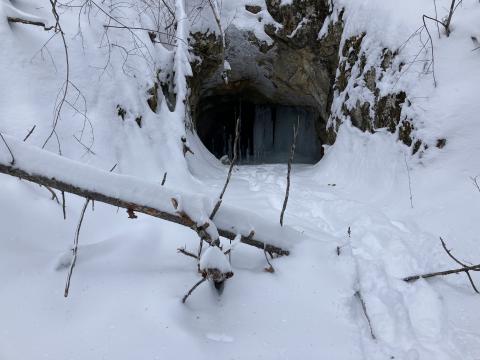 bat hibernaculum in winter