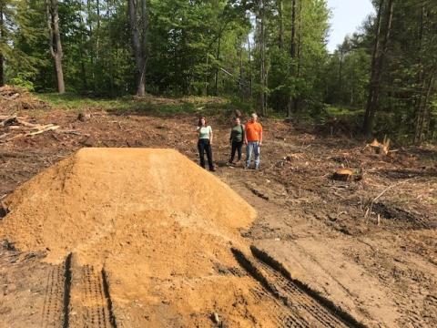 Turtle nesting site in progress