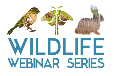 Wildlife Webinar Series