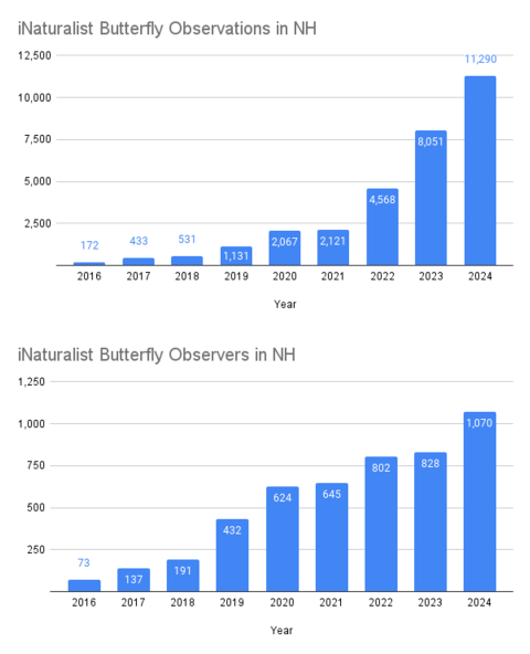 Graphs on iNaturalist butterfly data in New Hampshire