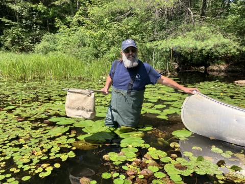 Jeff Littleton sampling at Black Fox Pond