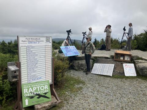 Raptor Observatory with volunteers using scopes and binoculars