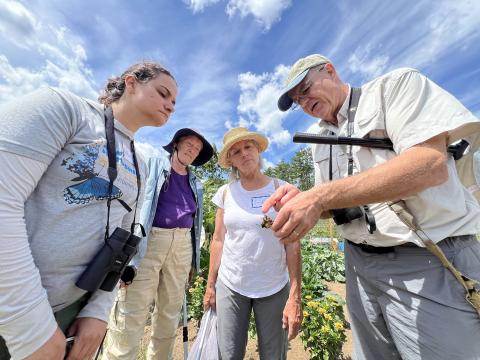 Butterfly volunteers in the field