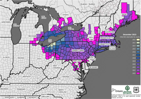 Map of beech leaf disease spread