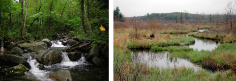 Mountain and valley headwater streams